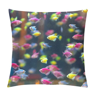Personality  Aquarium With Different Colored Glofish. Gymnocorymbus Ternetzi. Pillow Covers