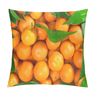 Personality  Oranges Pillow Covers