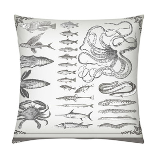 Personality  Vector Set: Fish Background Pillow Covers