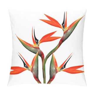Personality  Beautiful Bird Of Paradise Bouquet Pillow Covers