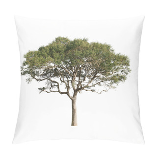 Personality  Single Green Tree Pillow Covers