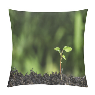 Personality  Close Up Of A Young Plant Sprouting From The Ground With Green Bokeh Background Pillow Covers