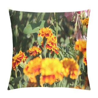 Personality  Bumblebee Close-up On An Orange Flower Pillow Covers