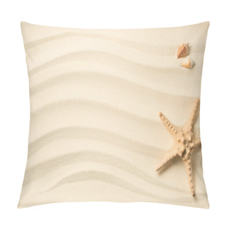 Personality  Top View Of Arranged Seashells And Sea Star On Sandy Surface Pillow Covers
