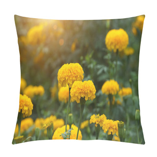 Personality  Marigolds (Tagetes Erecta, Mexican Marigold, Aztec Marigold, Afr Pillow Covers