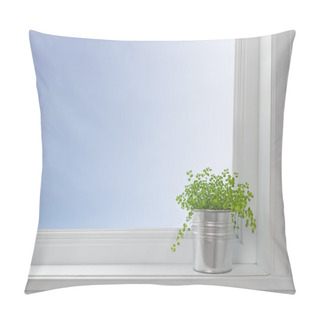 Personality  Green Plant On A Window Sill, In A Modern Home Pillow Covers