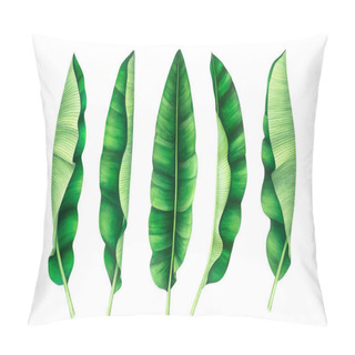Personality  Tropical Banana Leaves Set. Watercolor Illustration. Pillow Covers