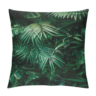 Personality  Tropical Leaves As Nature And Environmental Background, Botanical Garden And Floral Backdrop, Plant Growth And Landscape Design Pillow Covers