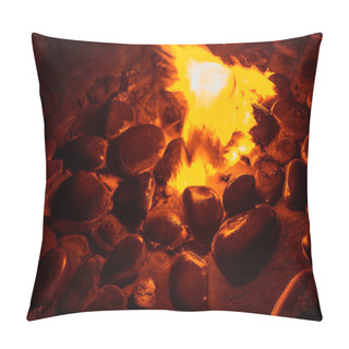 Personality  Spring Of Fire Water. Burning Methane In Water. Cold Fire. Pillow Covers