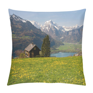 Personality  Alpine Meadow In Spring Pillow Covers