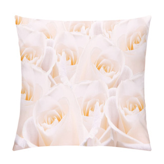 Personality  Pale Pink Roses. Pillow Covers