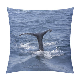 Personality  Whale Jumping In The Sea Pillow Covers