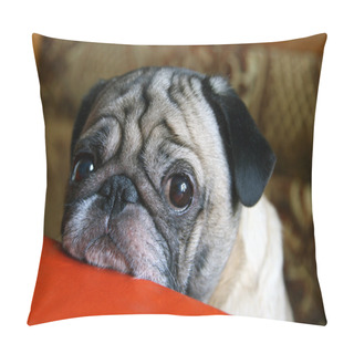 Personality  Pug With Sad Eyes Pillow Covers