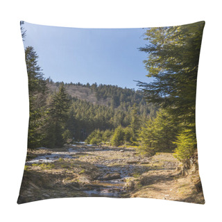 Personality  Pine Forest And Mountain River With Blue Sky At Background  Pillow Covers