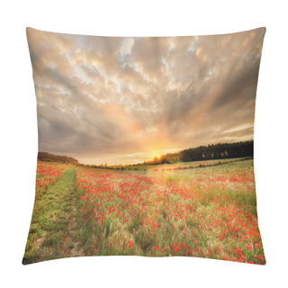 Personality  Stunning Poppy Field At Sunrise In Norfolk UK. Large Field Of Flowers With A Path And Orange Sun Light Rays As Dawn Breaks Over The Trees Pillow Covers