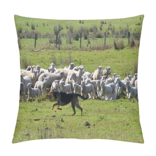 Personality  Herding Dog Pillow Covers