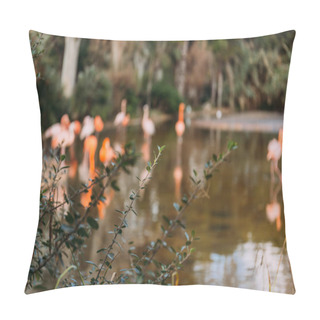 Personality  Selective Focus Of Green Plant On Blurred Background With Pink Flamingos, Barcelona, Spain Pillow Covers