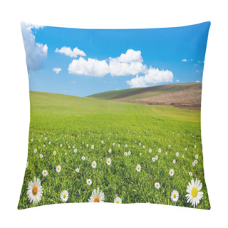 Personality  Daisy Flower Field Pillow Covers