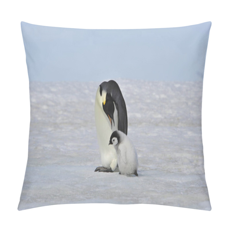Personality  Emperor Penguins with chick pillow covers