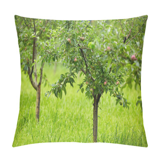 Personality  Apple Trees In An Orchard Pillow Covers