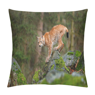 Personality  Cat Lynx In Forest Pillow Covers