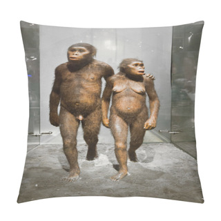 Personality  Humans In The American Museum For National History Pillow Covers