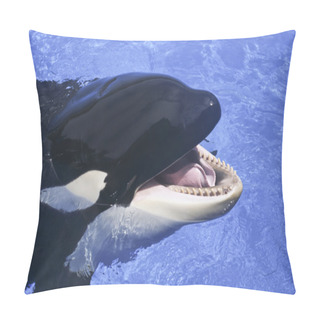 Personality  A Close Up Of A Killer Whale's Mouth Pillow Covers