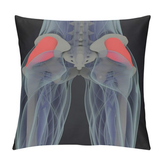 Personality  Female Fascia Lata Anatomy Model Pillow Covers