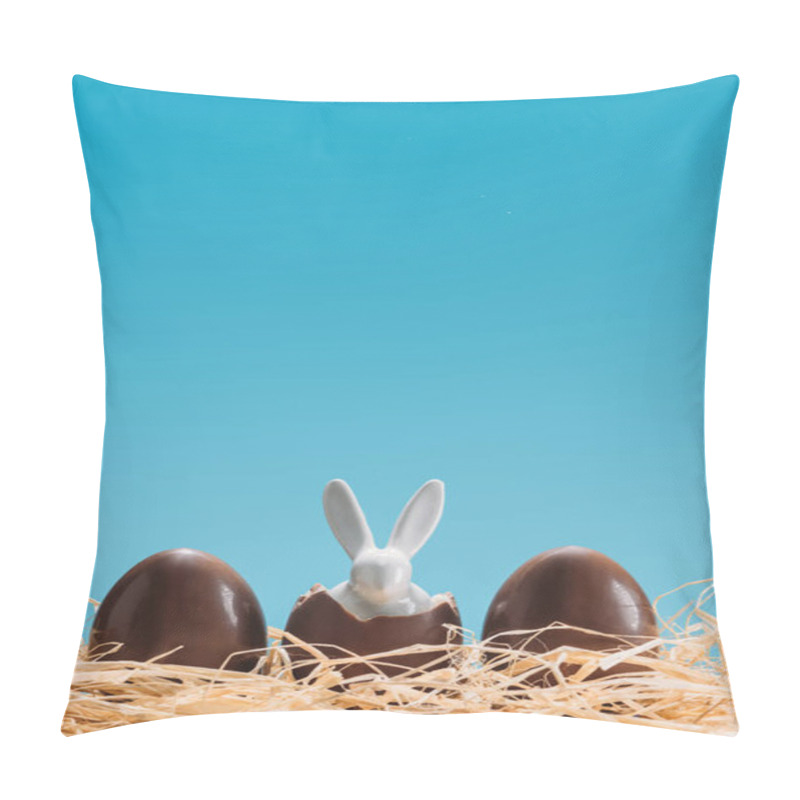 Personality  Delicious Chocolate Eggs With Eater Bunny In Nest Isolated On Blue Pillow Covers