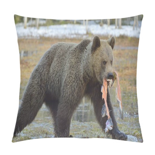 Personality  Running Brown Bear (Ursus Arctos) With Salmon Fish On The Swamp In Spring Forest. Pillow Covers