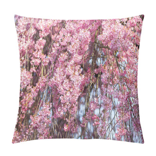 Personality  Detail Of A Japanese Cherry Pillow Covers