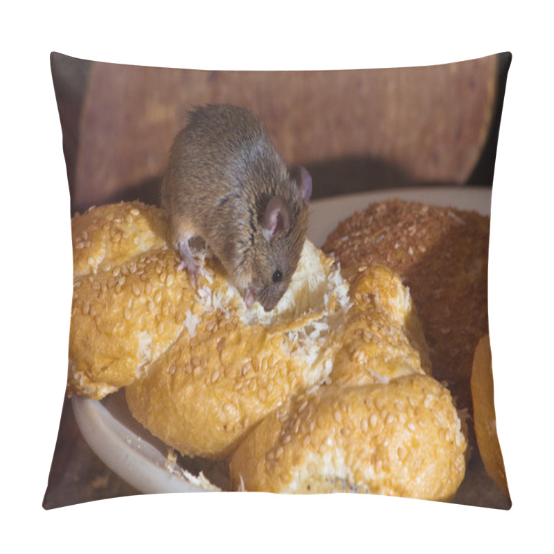 Personality  Mouse in the kitchen pillow covers