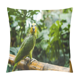 Personality  Beautiful Green Afrotropical Parrot Perching On Bamboo Fence In Tropical Park Pillow Covers