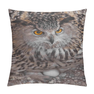 Personality  Eagle Owl On The Nest Hatches Eggs.. Owl With Clear Eyes And An  Pillow Covers
