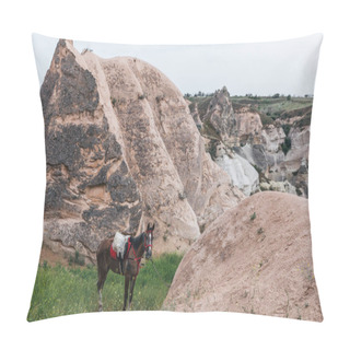 Personality  Horse Pillow Covers