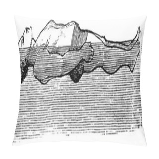 Personality  Back Float, Vintage Engraved Illustration Pillow Covers