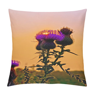 Personality  Thistles At Sunset Pillow Covers