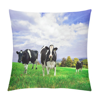 Personality  Milking Cows. Pillow Covers