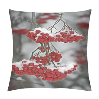 Personality  Mountain Ash Pillow Covers