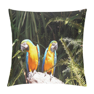 Personality  Chest Yellow Macaws Pillow Covers