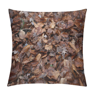 Personality  Dead Brown Leafs Macro Background High Quality Prints Winter Sea Pillow Covers