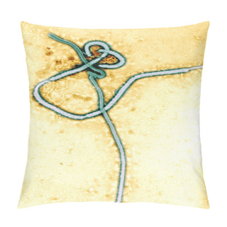 Personality  Micrograph Of The Ebola Virus Pillow Covers