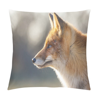 Personality  Cute Red Fox, Close Up View Pillow Covers