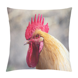 Personality  Rooster Close-up Farm Game Natural Meat Red Poultry Brown Red Pillow Covers