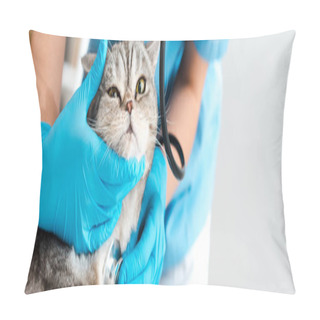 Personality  Partial View Of Veterinarian Examining Tabby Scottish Straight Cat With Stethosope, Panoramic Shot Pillow Covers