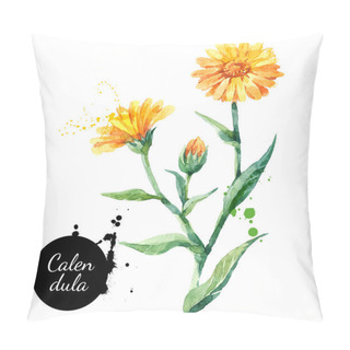 Personality  Hand Drawn Watercolor Calendula Flower Illustration. Vector Painted Sketch Botanical Herbs Isolated On White Background  Pillow Covers