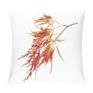 Personality  Japanese Maple Leaf, Acer Palmatum Pillow Covers