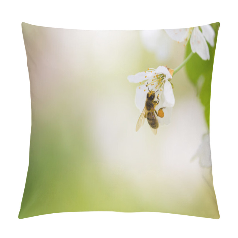 Personality  Honey Bee Enjoying Blossoming Cherry Tree On A Lovely Spring Day Pillow Covers