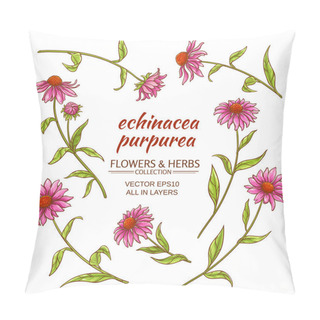 Personality Echinacea Purpurea Vector Set Pillow Covers