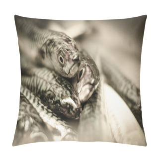 Personality  Mackerels Pillow Covers